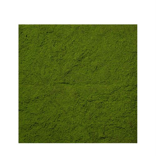 43600 TAPETE MUSGO C 100,00 L 100,00 A 0,00