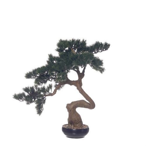 43603 BONSAI 61CM