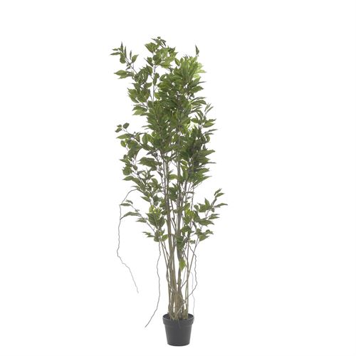 43510 PLANTA ARTIFICIAL FICUS 190CM
