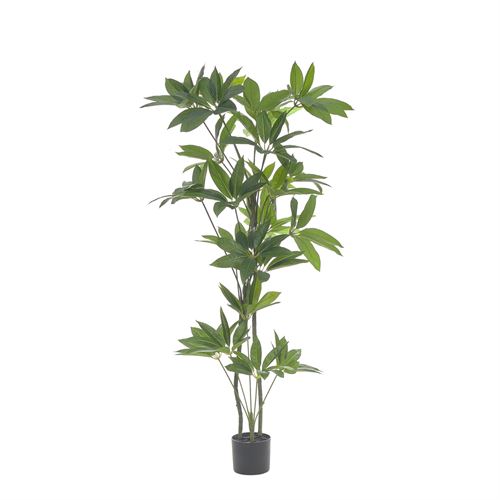 43509 PLANTA ARTIFICIAL SCHEFFERA ACTINOPHYL 168CM