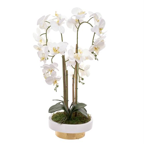 ORQUIDEA 4 CAULES TAÇA TUBO25 BRANCO/OURO