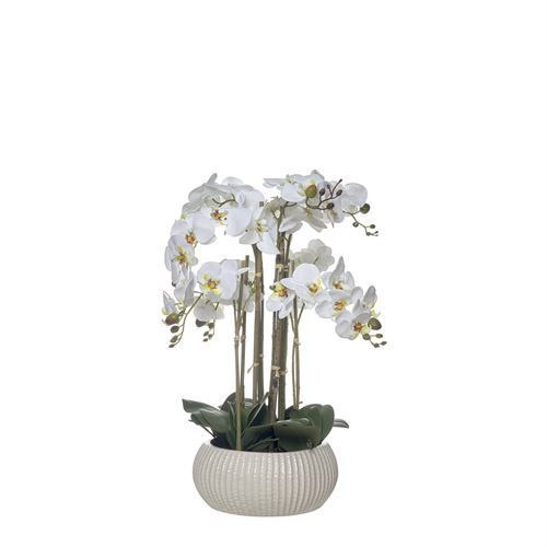43568 ORQUIDEA 60CM TAÇA CERAMICA