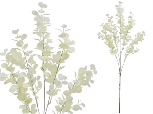 762579 HASTE EUCALIPTO 71CM BRANCO
