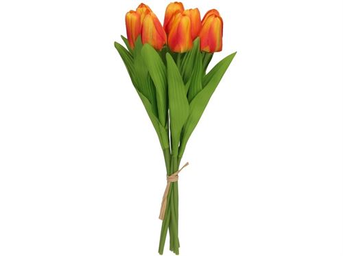 436005 TULIPAS MINI X 8 -35 CM (TE)