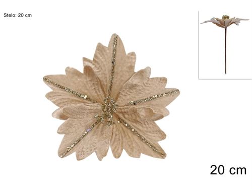 356754 FLOR NATAL VELUDO CHAMPANHE 20CM