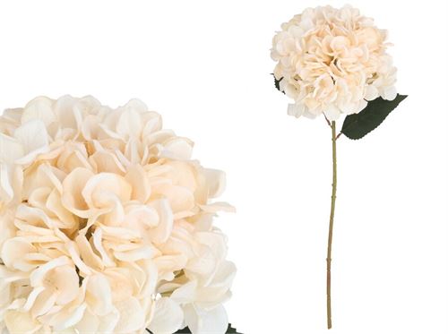 447780 BASTÃO DE HORTÊNSIA MACIO - 62 CM (BEG)