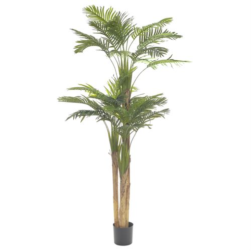 43562 PLANTA ARTIFICIAL ARECA PALM 220CM - 3