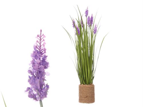 RAMO CORDA LAVANDA SORT 2 CORES 69CM