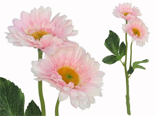 217451 HASTE GERBERA X2