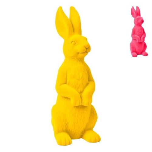 249861 COELHO DEC PSC 17X12X37