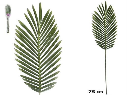 872812 HASTE FOLHA ARECA-75 CM