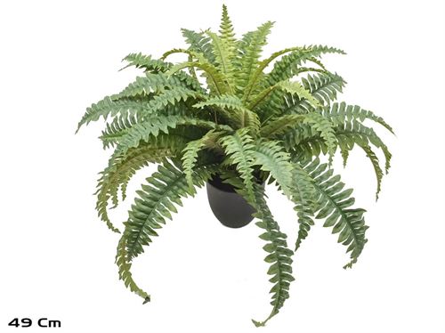 198101 VASO BOSTON FERN X 49 LVS -49 CM