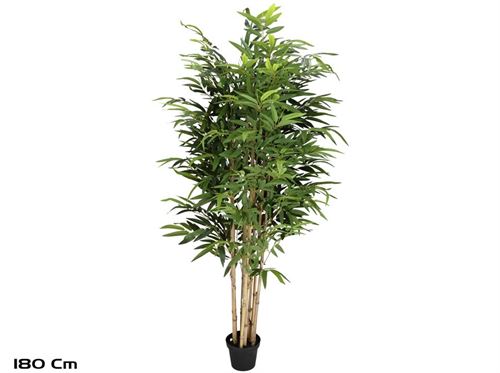 395388 ARVORE BAMBU X6 -180CM