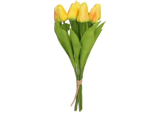 435992 TULIPAS  MINI X 8 -35 CM (AM)