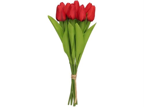 436012 TULIPAS MINI X 8 -35 CM VERMELHO
