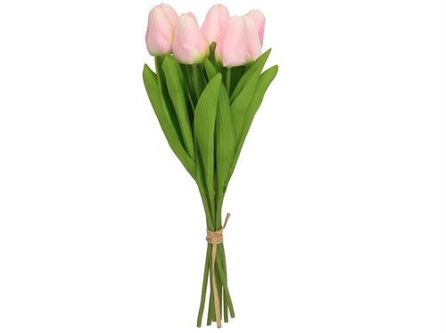 436029 TULIPAS MINI X 8 -35 CM (ROSA)
