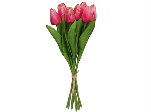 436036 TULIPAS MINI X 8 -35 CM (FUCSIA)