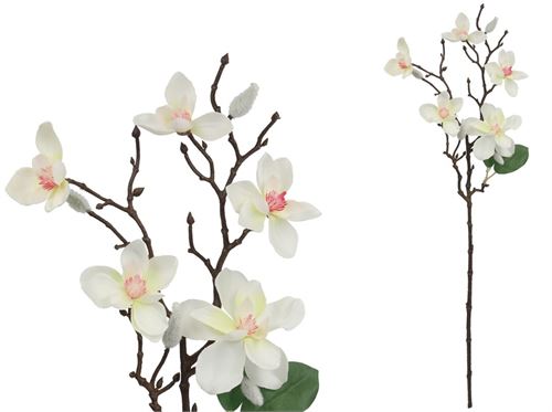 438092 HASTE MAGNOLIA - 66 CM (CREMA)