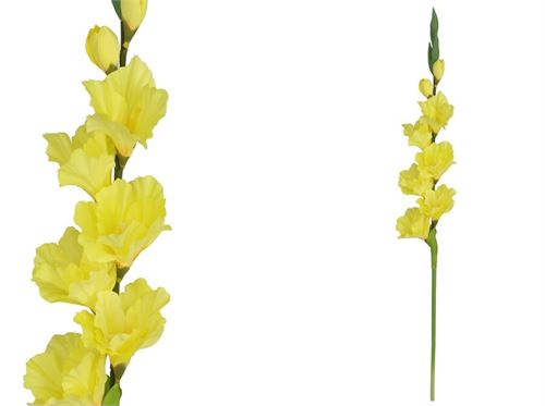 447001 HASTE GLADIOLO 82CM