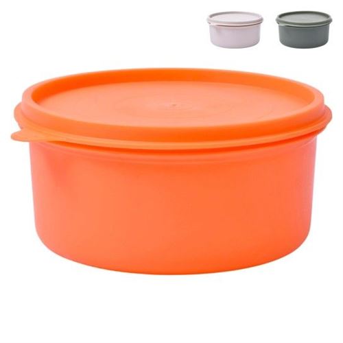 001031 CAIXA PLASTICA 1200ML LV-103