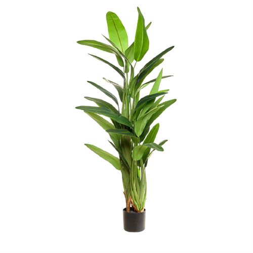 43471 PLANTA ARTIFICIAL STRELITZIA X3 170CM