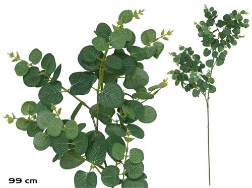 540139 BASTÃO DE EUCALIPTO X 160 - 99 CM (VERDE/CL)