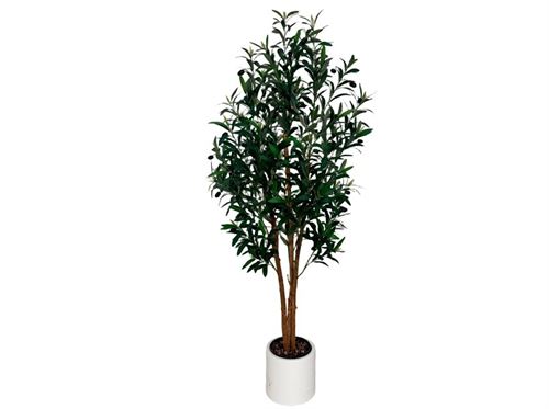 727691 ARVORE OLIVEIRA NATURAL 150CM