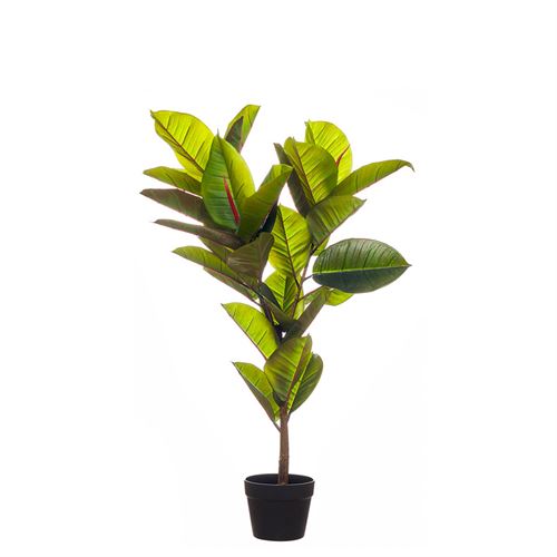 PLANTA ARTIFICIAL - REAL TOUCH RUBBER TREE 100CM
