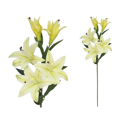 HASTE LILIUM X5 TOQUE REAL