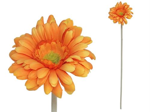 227696 GERBERA MICROPEACH 12CM / 52CM