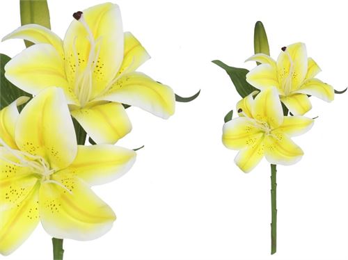 225807 HASTE LILIUM X 3 TOQUE REAL