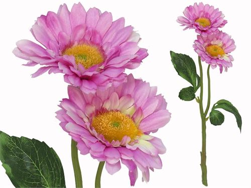 217468 HASTE GERBERA X2