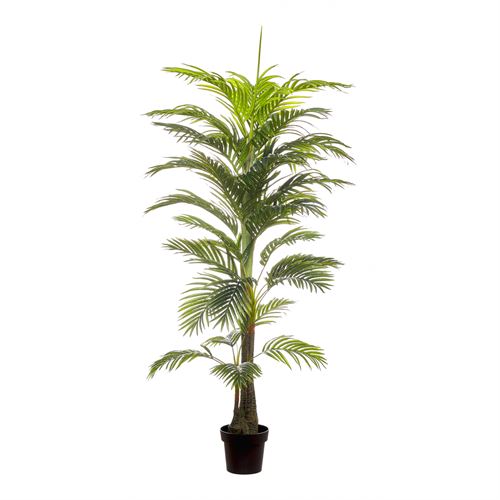 PLANTA ARTIFICIAL - REAL TOUCH ARECA PAL 180CM