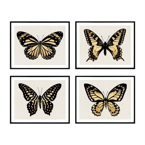 QUADRO DECORATIVO BORBOLETA 40X50X1,8CM