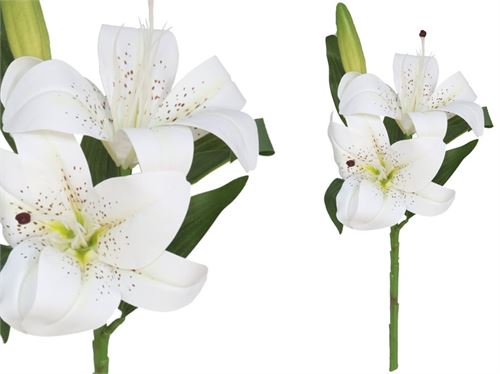 225791 HASTE LILIUM X 3 TOQUE REAL
