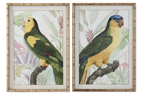 CU-218484 QUADRO VIDRO ABETO 50X2,5X70 PAPAGAIO 2 MOD.