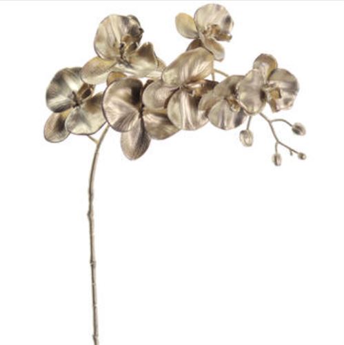 NAV2648 HASTE PHALENOPSIS 75CM