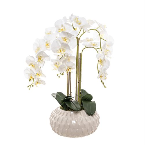 46195 ORQUIDEA TAÇA BRANCA 80CM