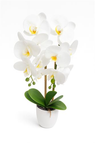 127034602 ORQUIDEA 55CM