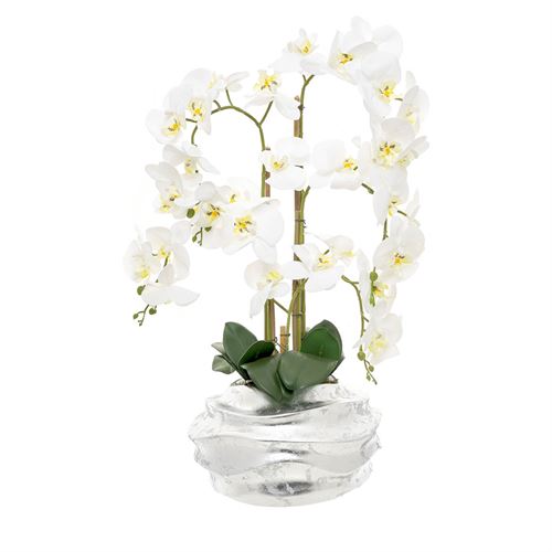 46144 ORQUIDEA 4 CAULES TAÇA ONDAS 75CM