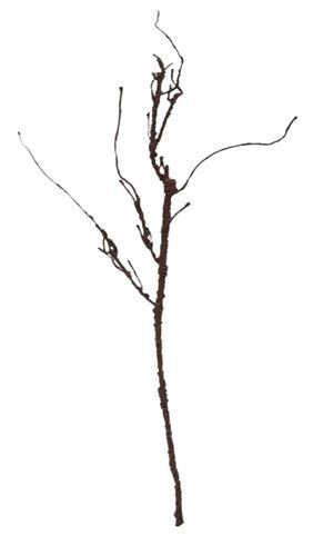 03-IT-5697 RAIZ 90CM