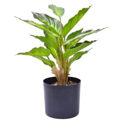 382009 VASO PLASTICO  C/ PLANTA 38X12,5 2438-200