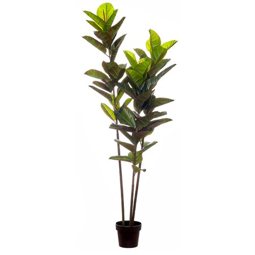 PLANTA ARTIFICIAL - REAL TOUCH RUBBER TREE 180CM