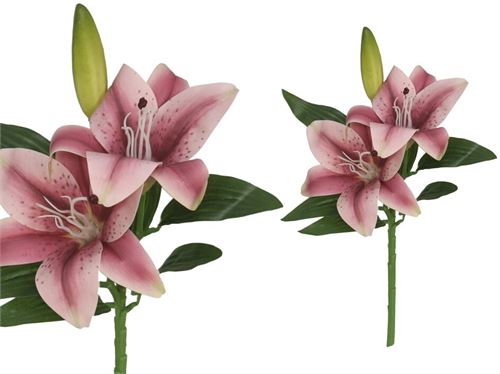 225838 LILIUM X 3 TOQUE REAL