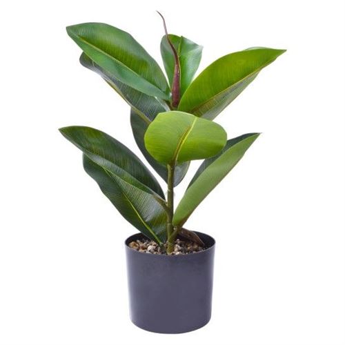 382016 VASO PLAST C/ PLANTA 40X12,5 2438-201